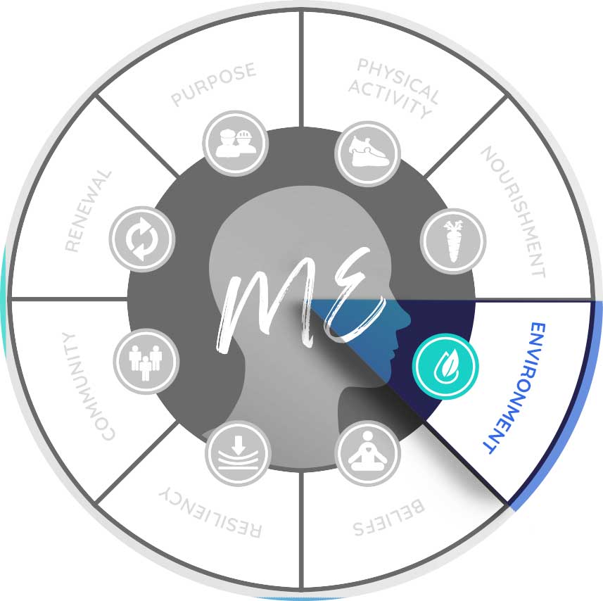Eight Dimensions Chart focused on Environment